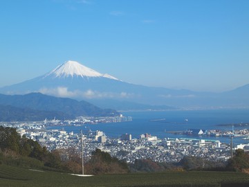 FN_HL_TR_AdobeStock_342634101